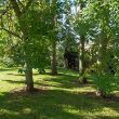 Garden mix – trees in garden
