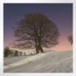 Woodland Trust notelets - woodland